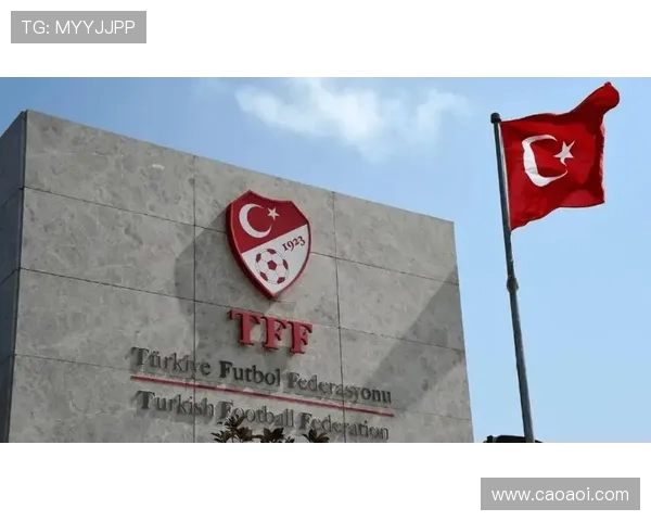 土耳其数百名裁判被曝持赌博账户 公众信任遭重大打击